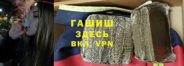 индика Вяземский